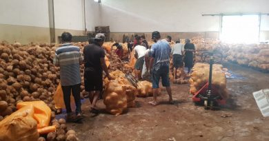 Dukung Eksportir, GP4-BGR Kembangkan Produk Turunan Tanaman Kelapa