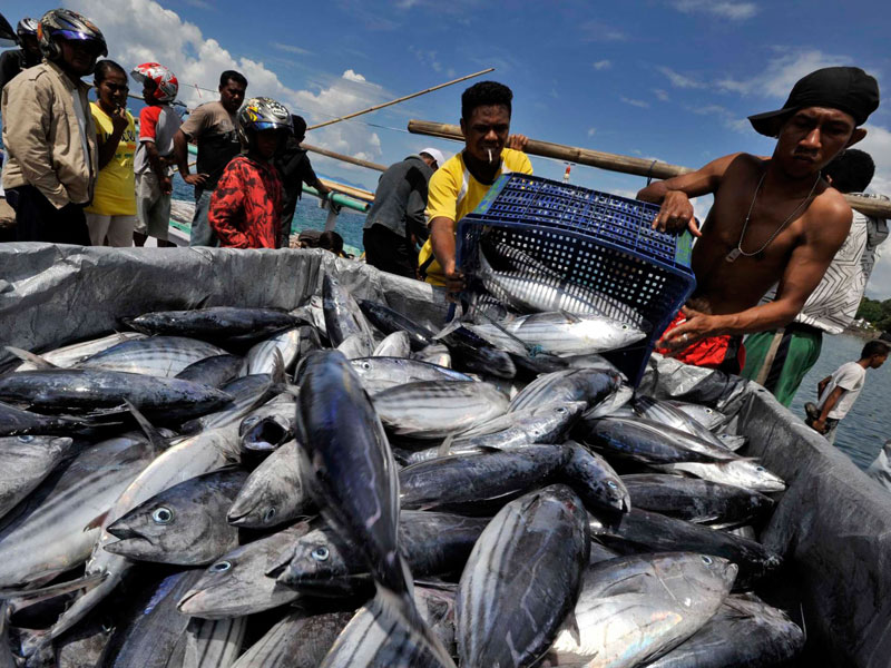Fisheries Cooperation : Poros China – AS Kuasai Laut dan Ikan Indonesia